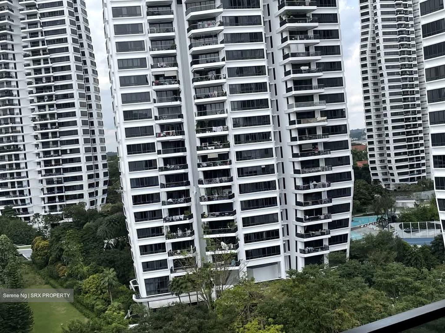 Leedon Green (D10), Condominium #591911031